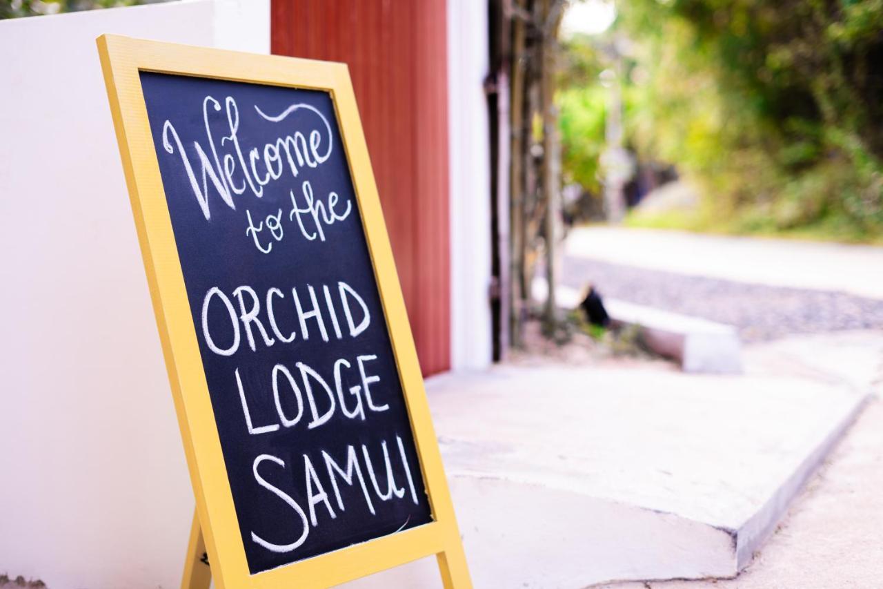 Orchid Lodge Samui - Bed & Breakfast Lamai Beach  Ngoại thất bức ảnh