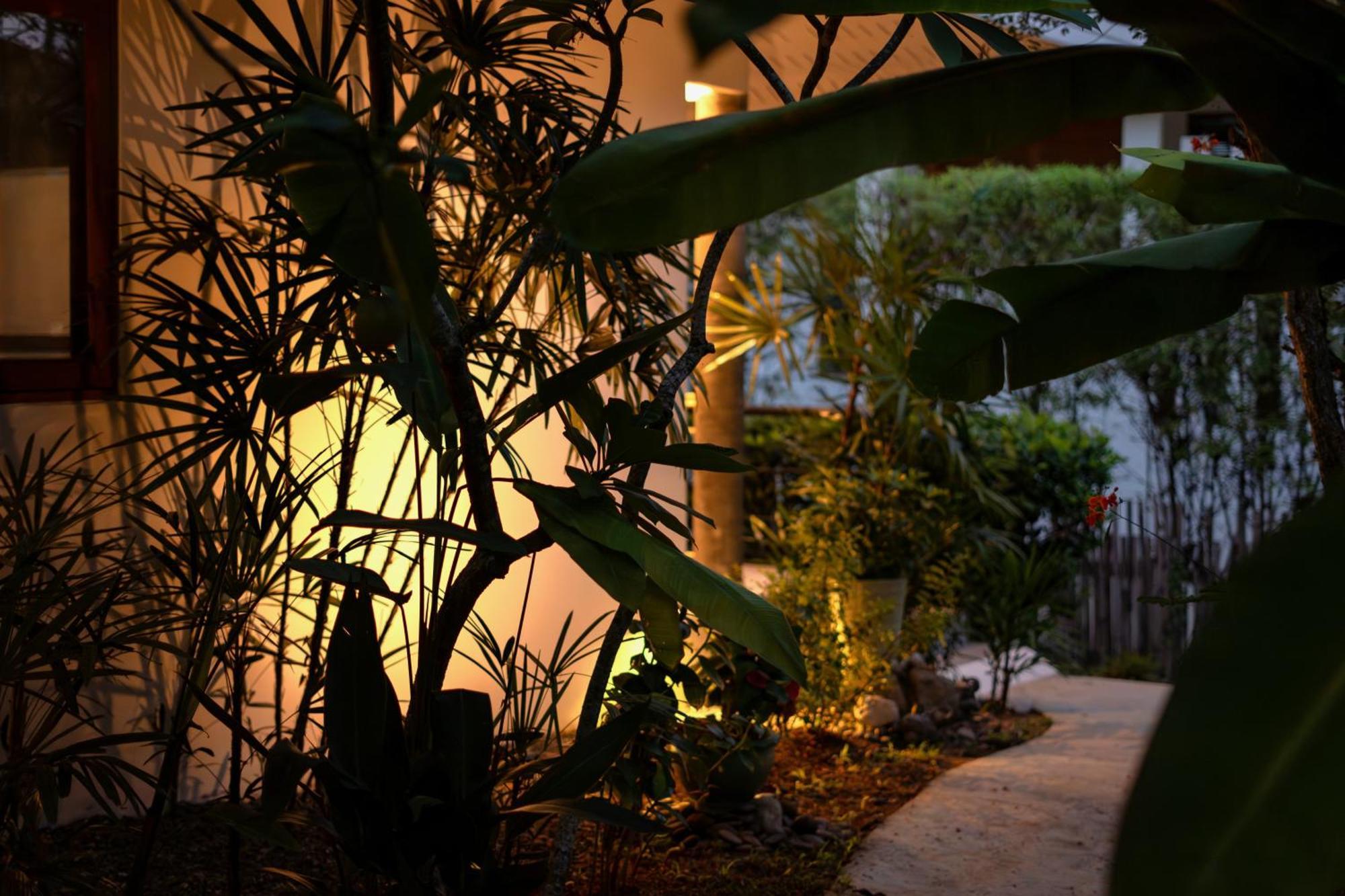 Orchid Lodge Samui - Bed & Breakfast Lamai Beach  Phòng bức ảnh